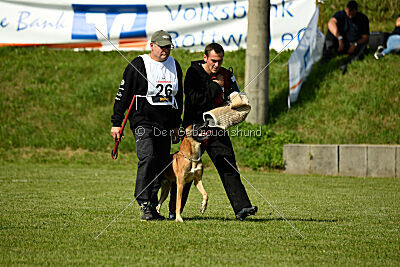 Nikelson van het Dreiland