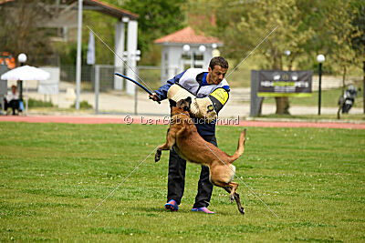 Niko da Quinta do Salomão