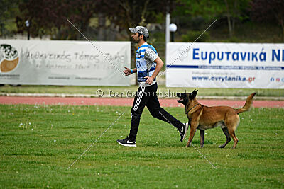 Niko da Quinta do Salomão