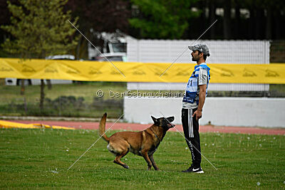 Niko da Quinta do Salomão
