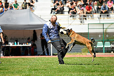Niko da Quinta do Salomão