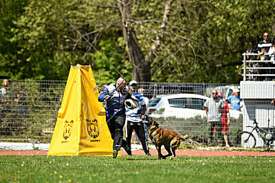 Niko da Quinta do Salomão