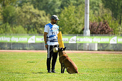 Niko da Quinta do Salomão