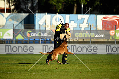 Niko des Pirates de Matra