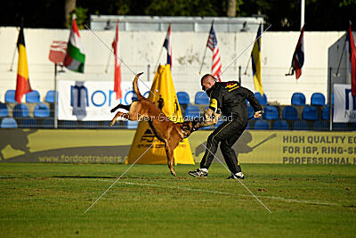 Niko des Pirates de Matra