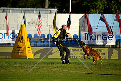 Niko des Pirates de Matra