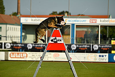 Noppes Black Creek Valley