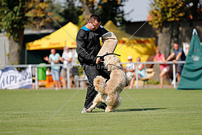 Norbert du Grand-Bijou