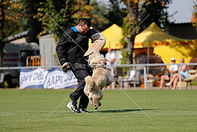 Norbert du Grand-Bijou