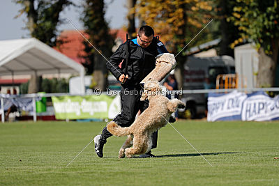 Norbert du Grand-Bijou
