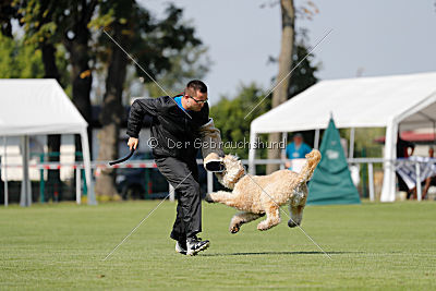 Norbert du Grand-Bijou