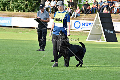 Norbert vom Eichbergblick