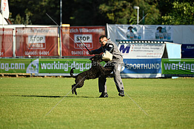 Nourina Baloe van Eltons Home