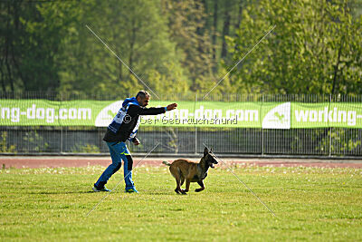 Nuke House Of Mechelaar