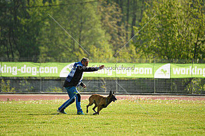 Nuke House Of Mechelaar