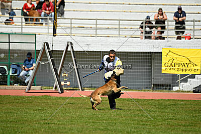 Nuke House Of Mechelaar