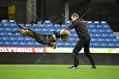 O'Shrek von der Friesenklippe