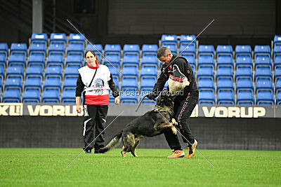 O'Shrek von der Friesenklippe