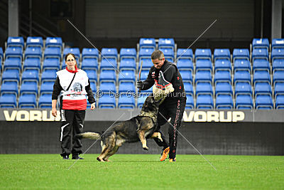 O'Shrek von der Friesenklippe