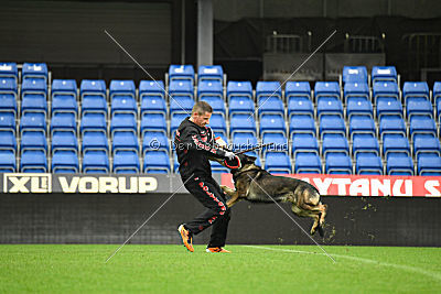 O'Shrek von der Friesenklippe