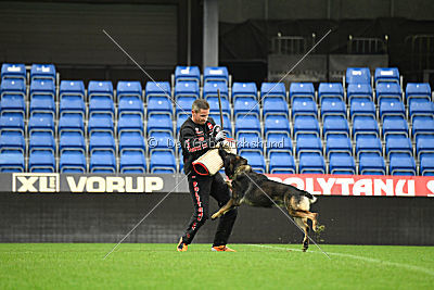 O'Shrek von der Friesenklippe