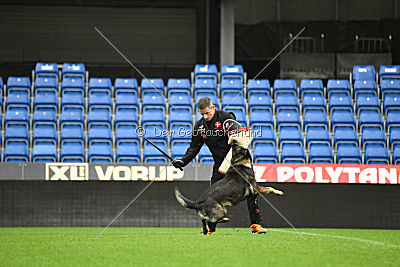 O'Shrek von der Friesenklippe