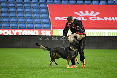 O'Shrek von der Friesenklippe