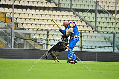 O'Shrek von der Friesenklippe