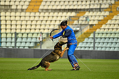 Obi Wan Kenobi vom Wolfsblick