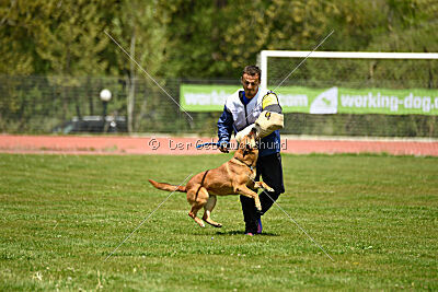 Odysseya de la Mamba Noire