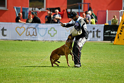 Odysseya de la Mamba Noire