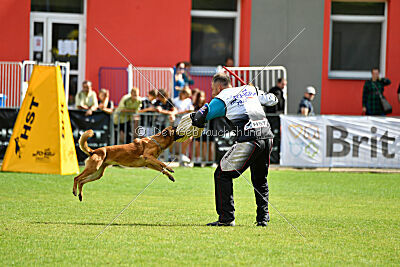 Odysseya de la Mamba Noire