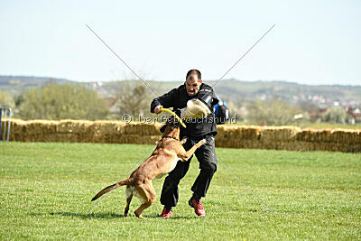 Oesko Hulk Machine 2.0