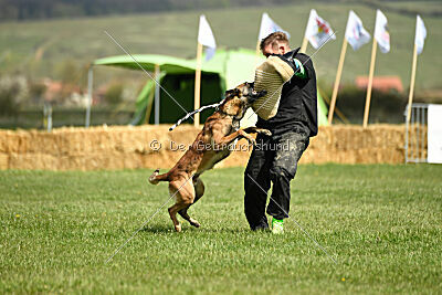 Oesko Hulk Machine 2.0