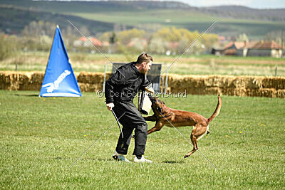 Oesko Hulk Machine 2.0