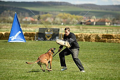 Oesko Hulk Machine 2.0