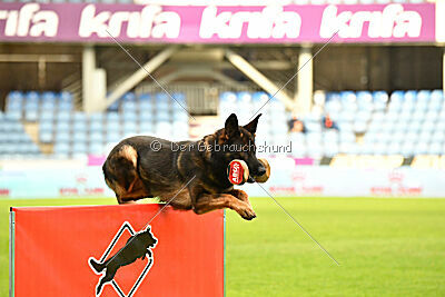 Oetzi aus der Königshöhle