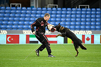 Oetzi aus der Königshöhle