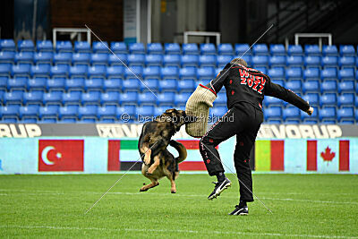 Oetzi aus der Königshöhle