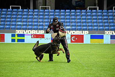 Oetzi aus der Königshöhle