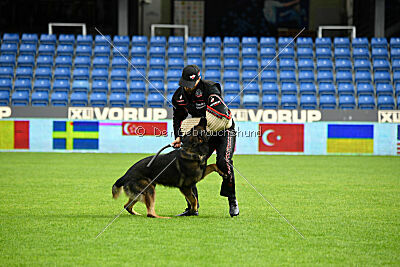 Oetzi aus der Königshöhle