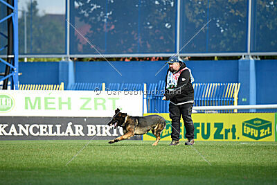 Oetzi aus der Königshöhle