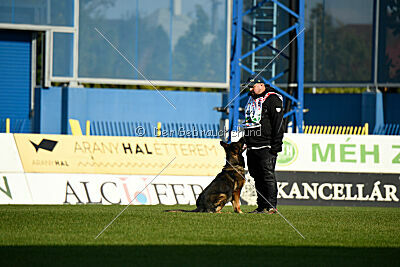 Oetzi aus der Königshöhle