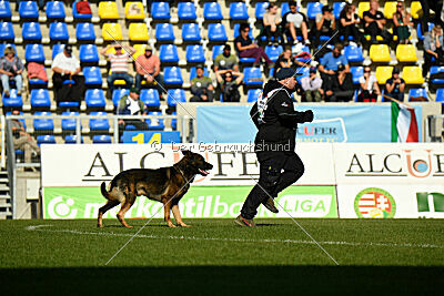 Oetzi aus der Königshöhle