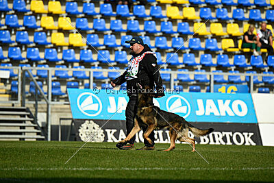 Oetzi aus der Königshöhle