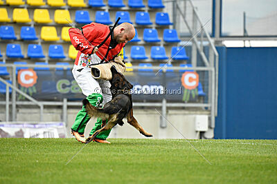 Oetzi aus der Königshöhle