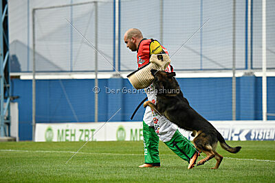 Oetzi aus der Königshöhle