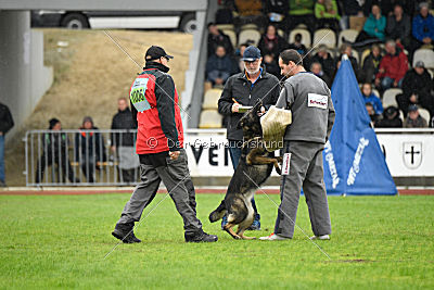 Ohmy vom Lisdorferland