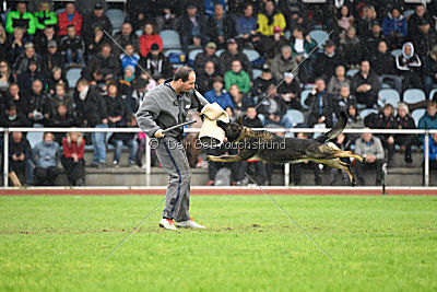 Ohmy vom Lisdorferland