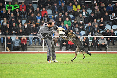 Ohmy vom Lisdorferland